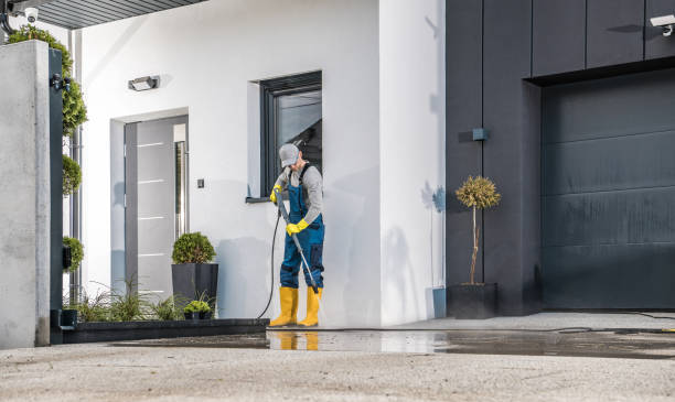 Best Roof Cleaning and Mildew Removal in Maysville, GA